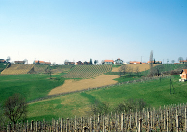 Andrenci - Eneolitska naselbina Andreški vrh