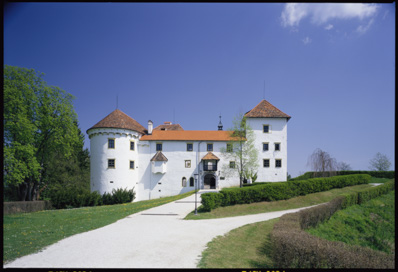 Bogenšperk - Grad Bogenšperk
