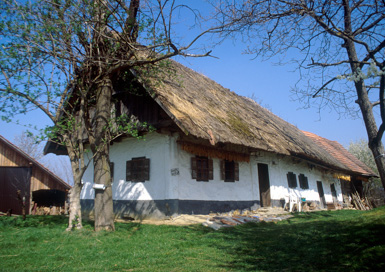 Cogetinci - Domačija Cogetinci 75