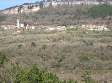 Črni Kal - Vas
