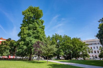 Ljubljana - Miklošičev trg
