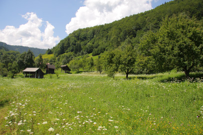 Srednja vas v Bohinju - Arheološko najdišče Žale