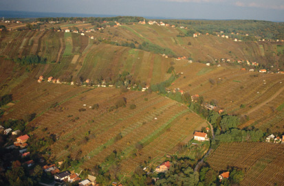 Lendavske Gorice - Zaselek Novi Tomaž