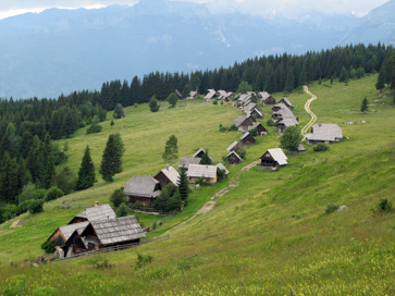 Pokljuka - Planina Zajamniki