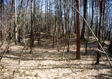Stavešinci - Rimskodobno gomilno grobišče