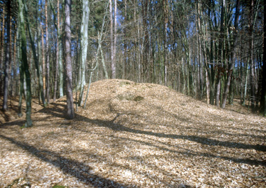 Lastomerci - Rimskodobna gomila I