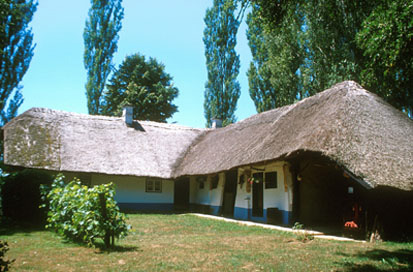 Dragotinci - Domačija Dragotinci 21