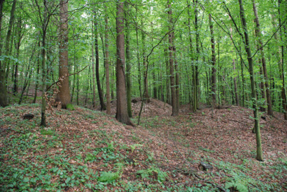 Andrenci - Rimskodobno gomilno grobišče Prelog