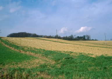 Zgornji Porčič - Rimskodobna naselbina