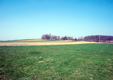 Spodnja Senarska - Rimskodobna naselbina