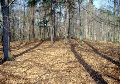 Andrenci - Vršičeva gomila