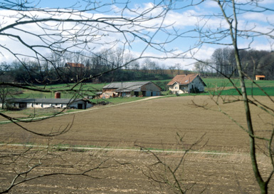 Brengova - Gomilno grobišče
