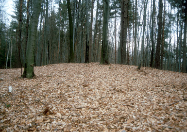 Brengova - Gomila