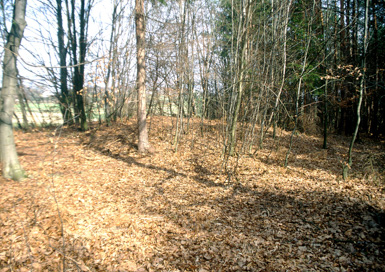 Gočova - Gomila I