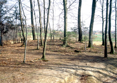 Gočova - Rimskodobna gomila ob cesti Gočova-Nadbišec