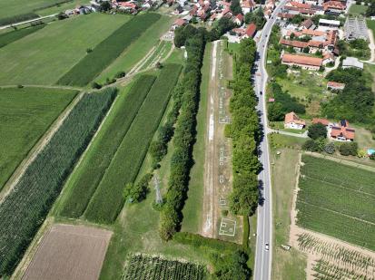 Šempeter v Savinjski dolini - Antična nekropola