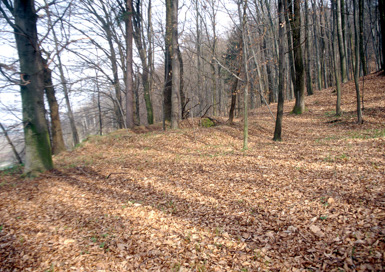 Gočova - Gomila II