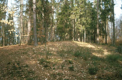Žice - Gomila