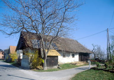 Zavrh pri Lenartu - Viničarija Zavrh 6