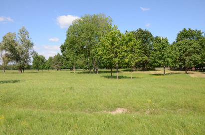 Lendava - Eneolitska naselbina Kapitan domb