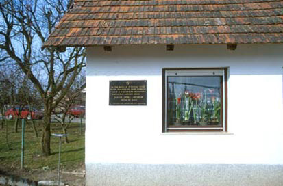 Srednja Bistrica - Hiša Srednja Bistrica 64