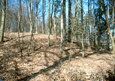 Gajševci - Stolp Goličan