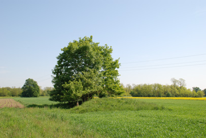Dokležovje - Gomilno grobišče