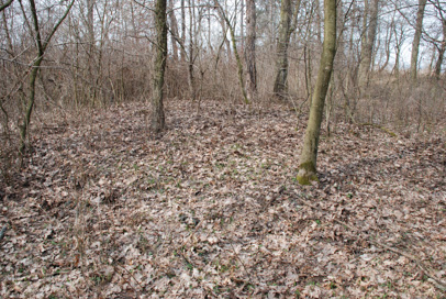 Gančani - Gomilno grobišče Bogojinski gozd