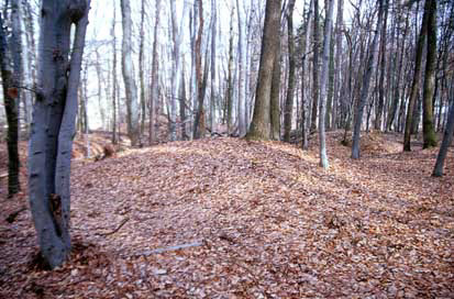 Ruperče - Gomilno grobišče
