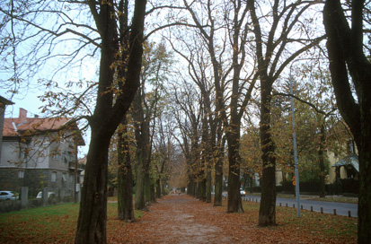 Maribor - Tomšičev drevored