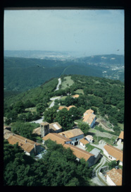 Socerb - Vas