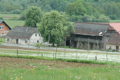 Prelesje pri Šentrupertu - Steklasova domačija