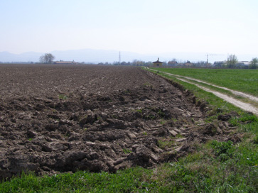 Žadovinek - Arheološko najdišče Petrovce