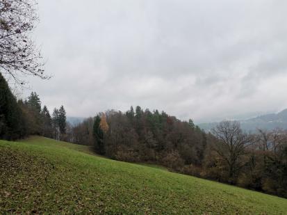 Trbovlje - Utrjena višinska naselbina Klečka