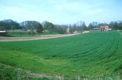 Šafarsko - Prazgodovinska naselbina