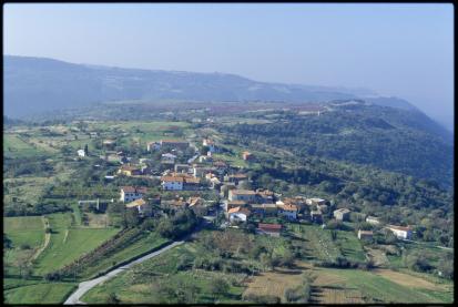 Boršt nad Dragonjo - Vas