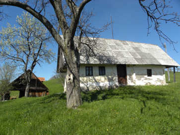 Babna Reka - Domačija Babna Reka 38