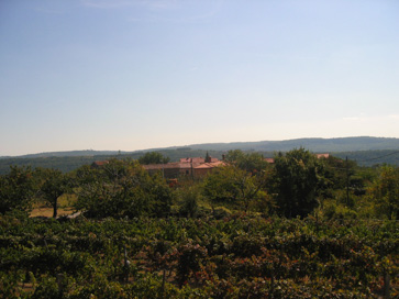 Fijeroga - Vas