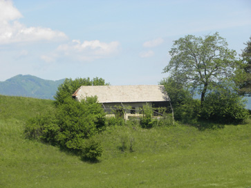 Ogorevc - Lubejeva klet