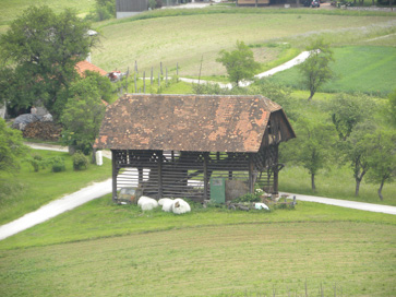 Kompole - Kozolec na domačiji Kompole 13