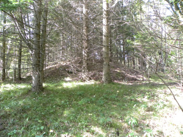 Kočevska Reka - Lokacija kapele sv. Frančiška Ksaverja