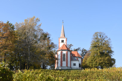 Zavrč - Cerkev sv. Marije
