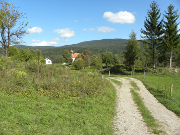 Suhi Potok - Opuščena kočevarska vas Suhi Potok