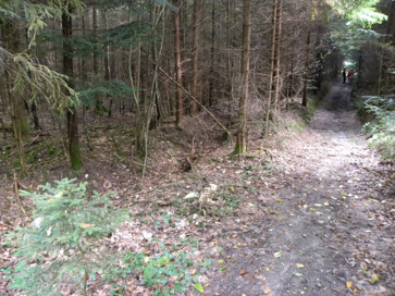 Novo mesto - Arheološko območje Mestna hosta