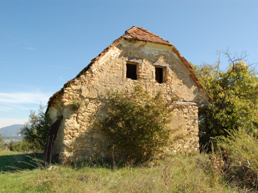 Bodrež - Vinska klet domačije Bodrež 11