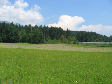 Varpolje - Gomilno grobišče Praznikove gomile