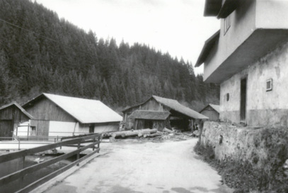 Luče ob Savinji - Žaga pri hiši Luče 51