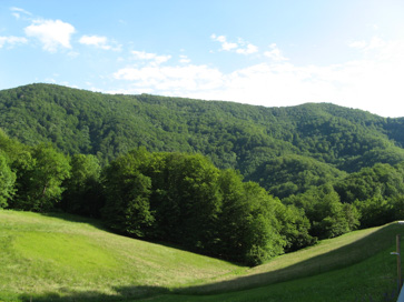 Trebče - Gradišče Bukovica