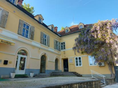 Rogaška Slatina - Stara direkcija