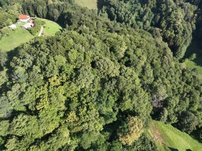 Lemberg pri Šmarju - Ruševine gradu Lemberg